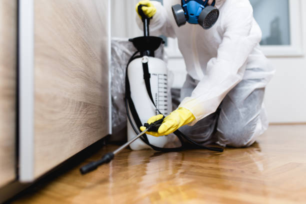 Professional Pest Control in New Kingman Butler, AZ