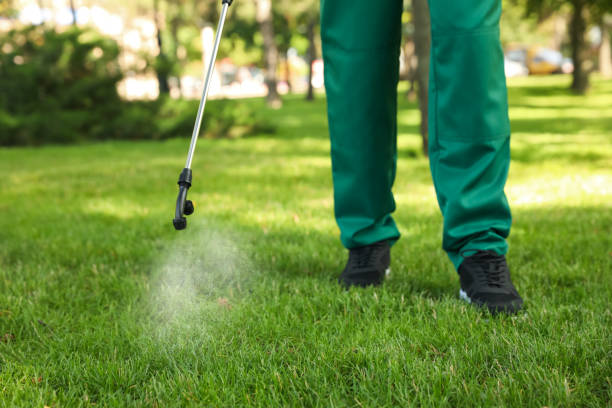 Best Ant Control Services  in New Kingman Butler, AZ