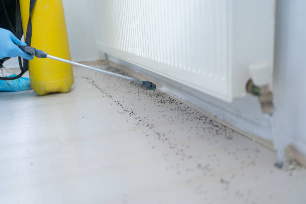 Best Exterminator Services  in New Kingman Butler, AZ